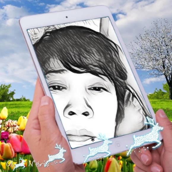 khoi23